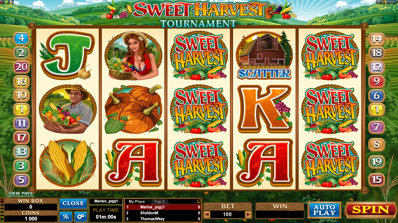 Microgaming Slots Tournaments